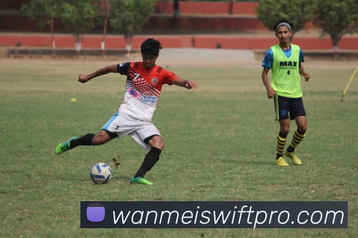 完美体育平台生态图