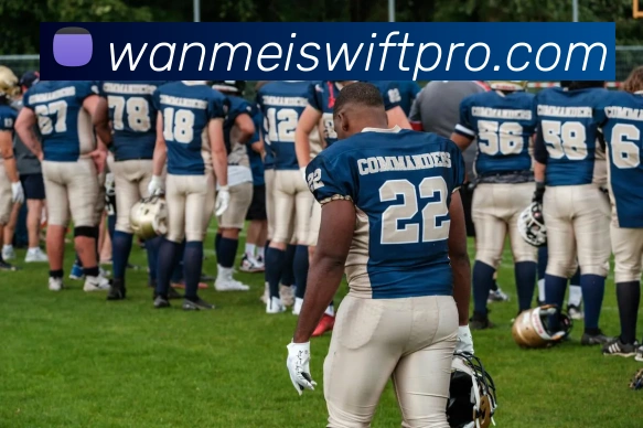 完美体育APP 封面图